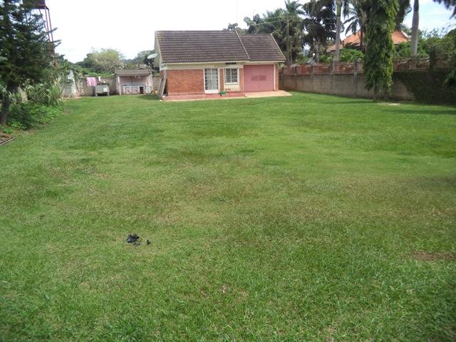 IMG-20200616-WA0011 1.jpg